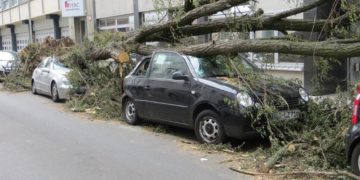 Aktuelle Sturmlagen im Amt Büchen: Eigentümer müssen auf Baumbestand achten