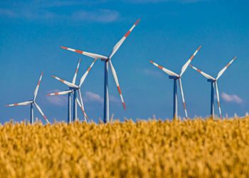 EEG-Anlagen in Schleswig-Holstein decken Strombedarf zu 156 Prozent
