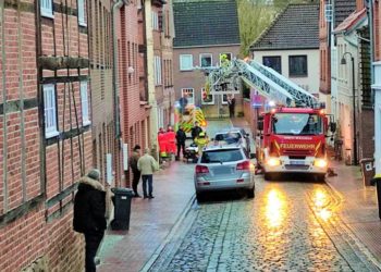 96 mal wurde die Hilfe der Möllner Feuerwehr im Februar 2022 benötigt