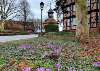 Geführter Stadtrundgang durch Lauenburg
