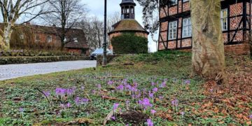 Geführter Stadtrundgang durch Lauenburg