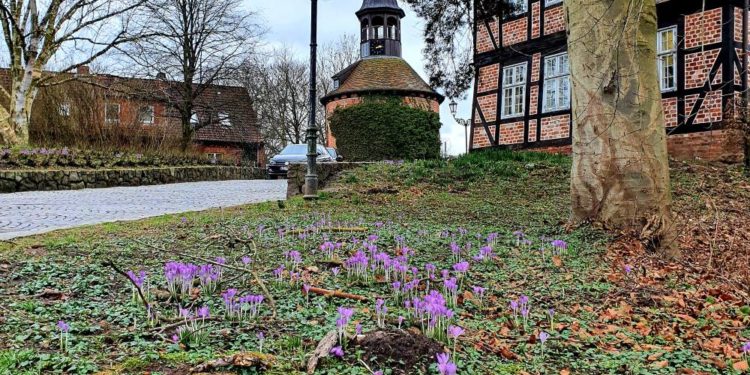 Geführter Stadtrundgang durch Lauenburg