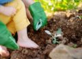 Hobbygärtner sollten sich jetzt gegen Tetanus schützen