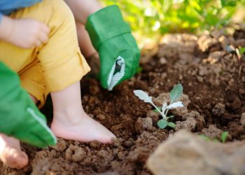 Hobbygärtner sollten sich jetzt gegen Tetanus schützen