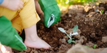 Hobbygärtner sollten sich jetzt gegen Tetanus schützen