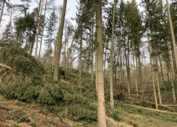 Und es war nicht der letzte Sturm…