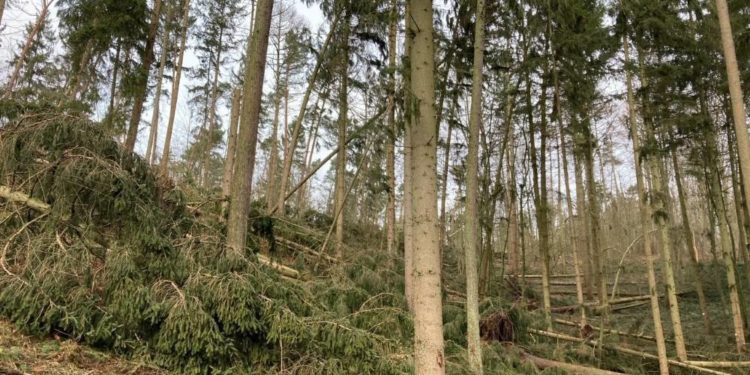 Und es war nicht der letzte Sturm…