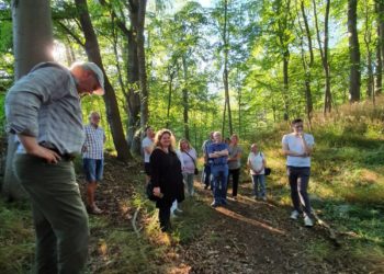 Unsere Wälder leiden: SPD-Kreistagsfraktion fordert Waldsymposium
