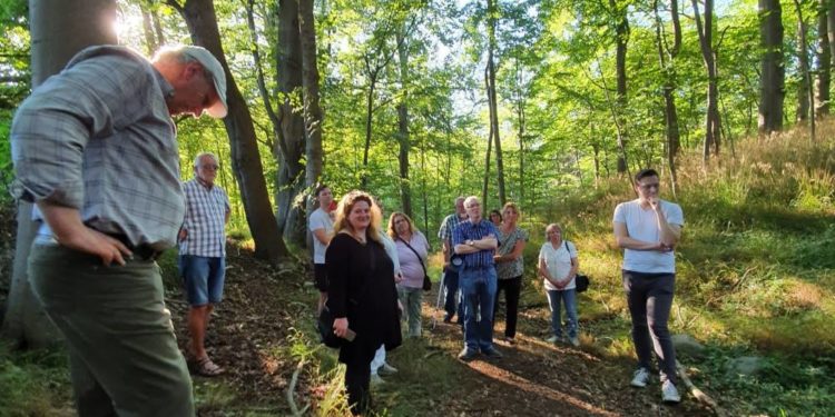 Unsere Wälder leiden: SPD-Kreistagsfraktion fordert Waldsymposium