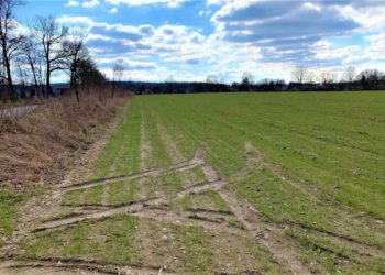 Geplantes Gewerbegebiet „Steinkrüger Koppel“ stärkt Büchen und die Region