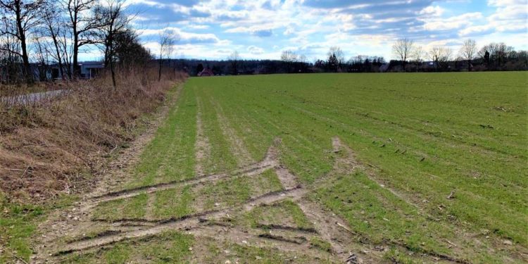Geplantes Gewerbegebiet „Steinkrüger Koppel“ stärkt Büchen und die Region