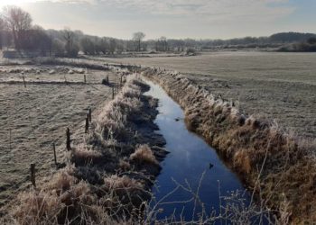 „Neue Büchen-Postkarte neu gedacht“