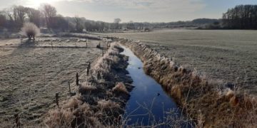 „Neue Büchen-Postkarte neu gedacht“