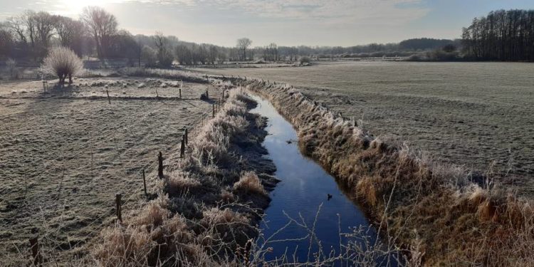 „Neue Büchen-Postkarte neu gedacht“