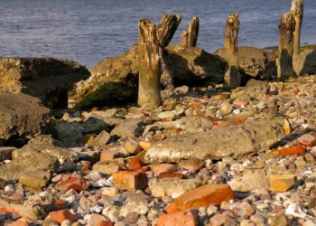 Aktion „Sauberes Elbufer“ in Lauenburg