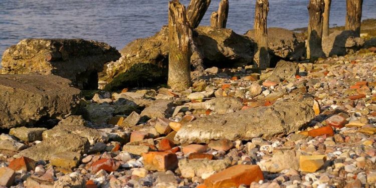 Aktion „Sauberes Elbufer“ in Lauenburg