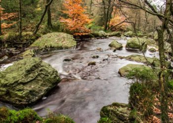 10. Möllner Bachforschertag für Kinder