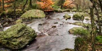 10. Möllner Bachforschertag für Kinder