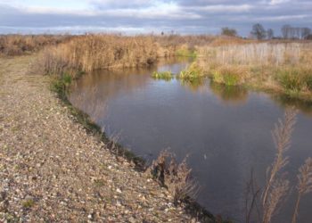 Erkundungstour entlang der renaturierten Boize