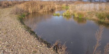 Erkundungstour entlang der renaturierten Boize