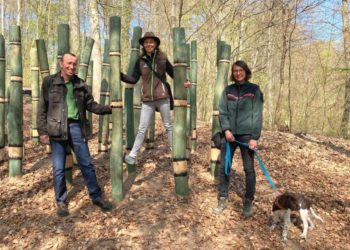 Waldlebensraum kreativ in Szene gesetzt