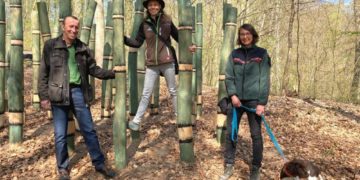 Waldlebensraum kreativ in Szene gesetzt