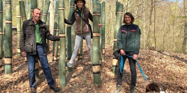 Waldlebensraum kreativ in Szene gesetzt