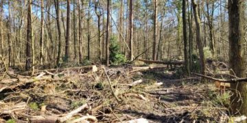 Sperrung und Umleitung des Elberadwegs