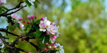 Tradition trifft Moderne