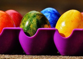 Augen auf beim Eierkauf – Verbraucherinfos zur Kennzeichnung von Eiern