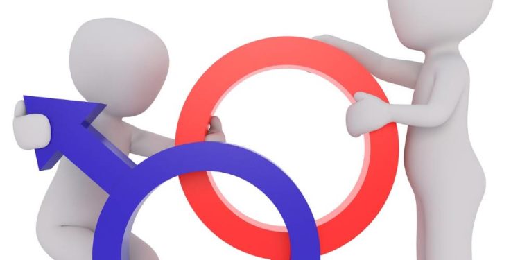 Girl‘s and Boy’s Day bei der Stadt Geesthacht