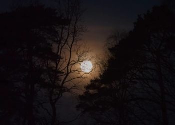 Stadtführung „zum Vollmond“