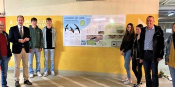 Akrobaten der Lüfte