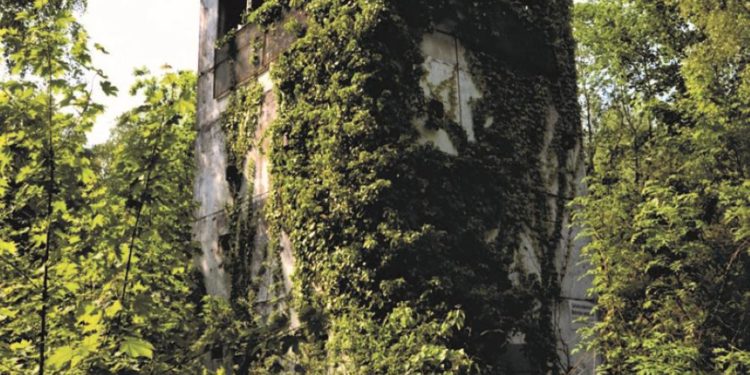 Dia-Vorträge zum ‚Grünen Band‘