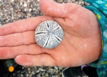 Von Vulkanen und verschwundenen Gebirgen