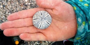 Von Vulkanen und verschwundenen Gebirgen