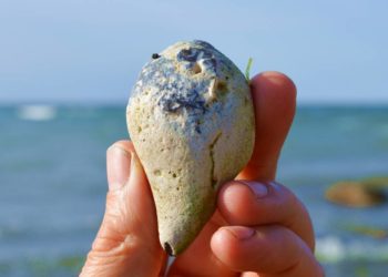 Sonne, Steine und Meer