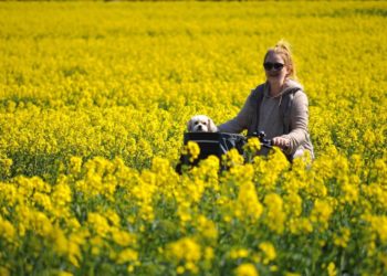 Ein Kreis fährt mit dem Fahrrad
