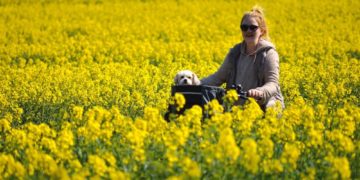 Ein Kreis fährt mit dem Fahrrad