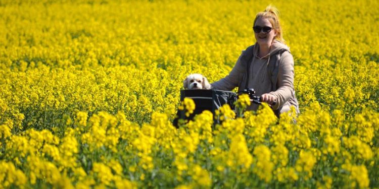 Ein Kreis fährt mit dem Fahrrad