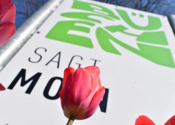 Frühblüher-Entdecker-Tour