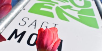 Frühblüher-Entdecker-Tour