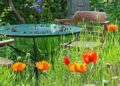 Springendes Sommercafé – Gastgeber gesucht
