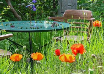 Springendes Sommercafé – Gastgeber gesucht