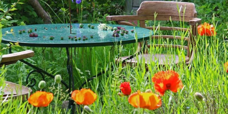 Springendes Sommercafé – Gastgeber gesucht