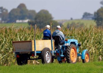 „Knackwust!“ – fast tabulose Geschichten aus dem Landleben