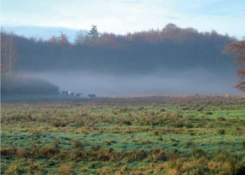 Vogelkundliche Wanderung