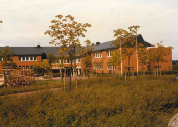 Schulbauprojekte der 1950er und 1960er Jahre