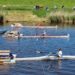 Möllner Ruder-Club bei Otterndorfer Ruderregatta angetreten