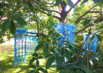 Kultursommer am Kanal 2022 – Die ganze Welt am Wegesrand